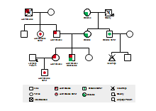 Medical Genogram