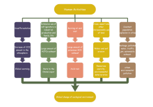 Cloud Main Idea and Details Chart