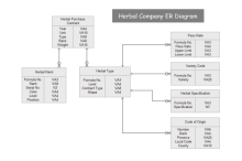 Shopping Order Activity Diagram