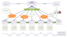 Morphology Tree Chart