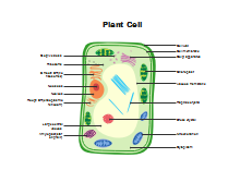 Chemical Experiment Illustration