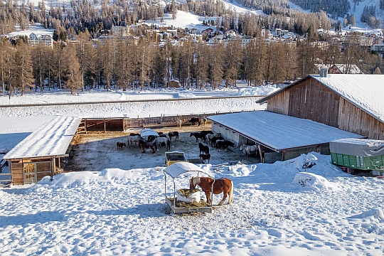 Ausildungsbetrieb Suot Spuondas in Pontresina