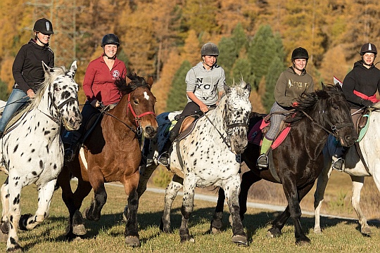 Spass auf einem geführten Tagesritt