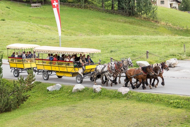 Kutschfahrt im Val Roseg mit Wohlis Kutschbetrieb