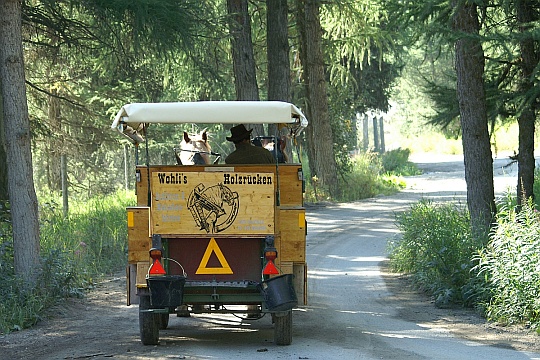 Wohli unterwegs mit einer Kutsche im Jahr 2005