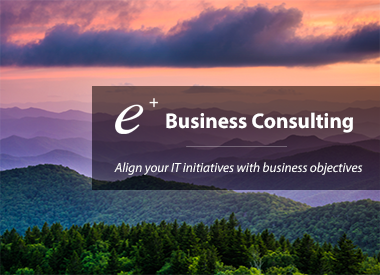 Business Consulting