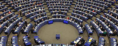 The Strasbourg Chamber during a plenary session