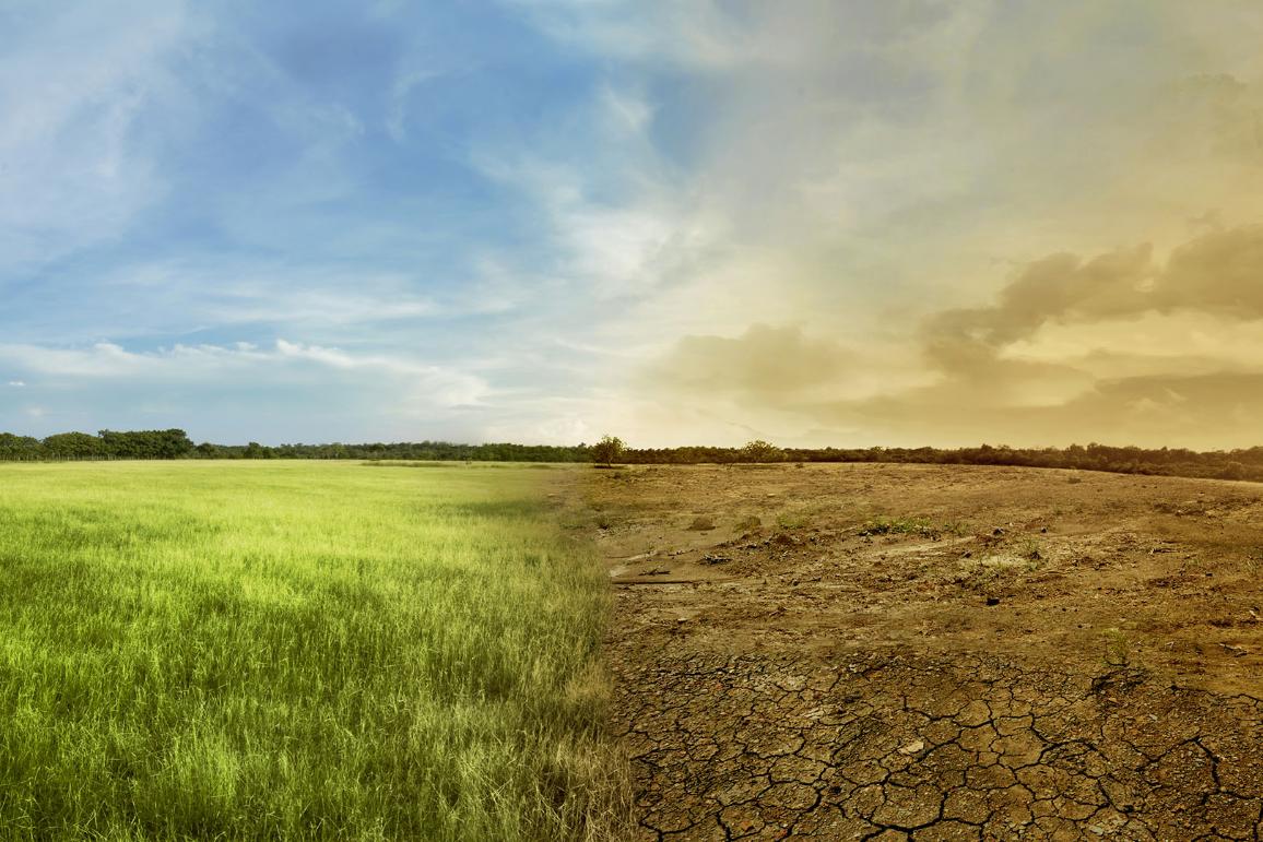 Landschap van weideveld met de veranderende omgeving