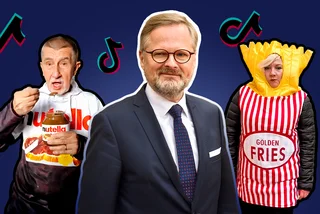 Czech politicians and TikTok: Where political strategy meets French fry costumes