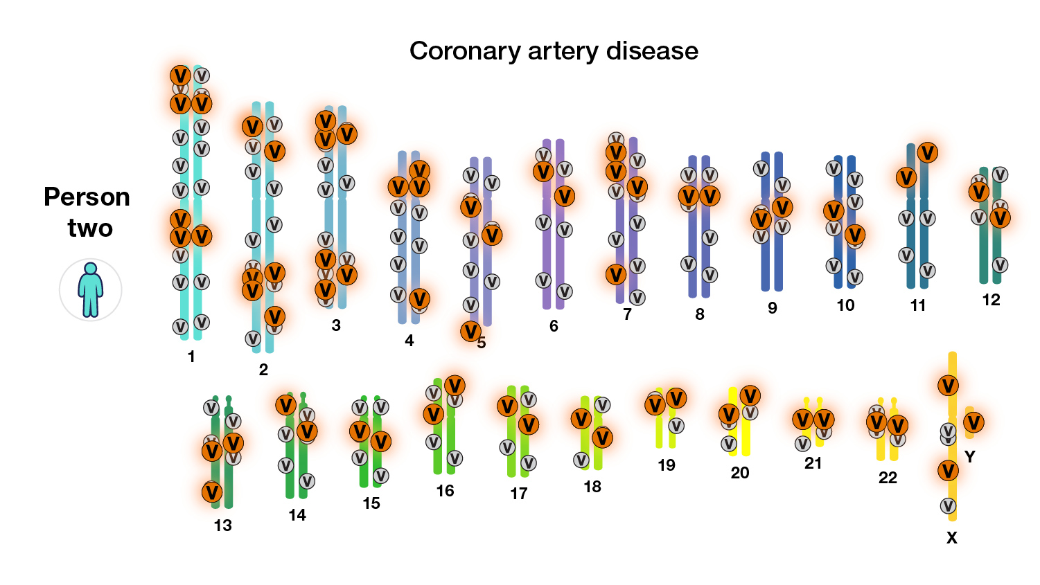 Person two, coronary artery disease