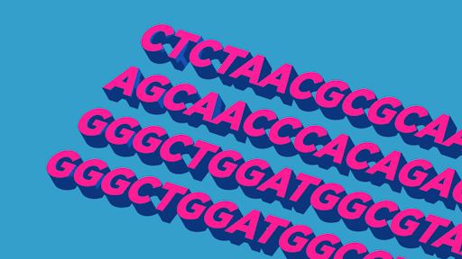 DNA Sequence