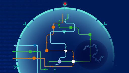 Biological Pathways