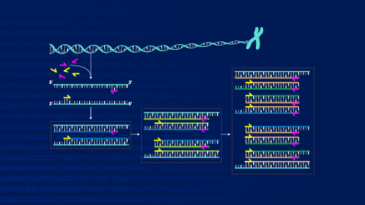 PCR