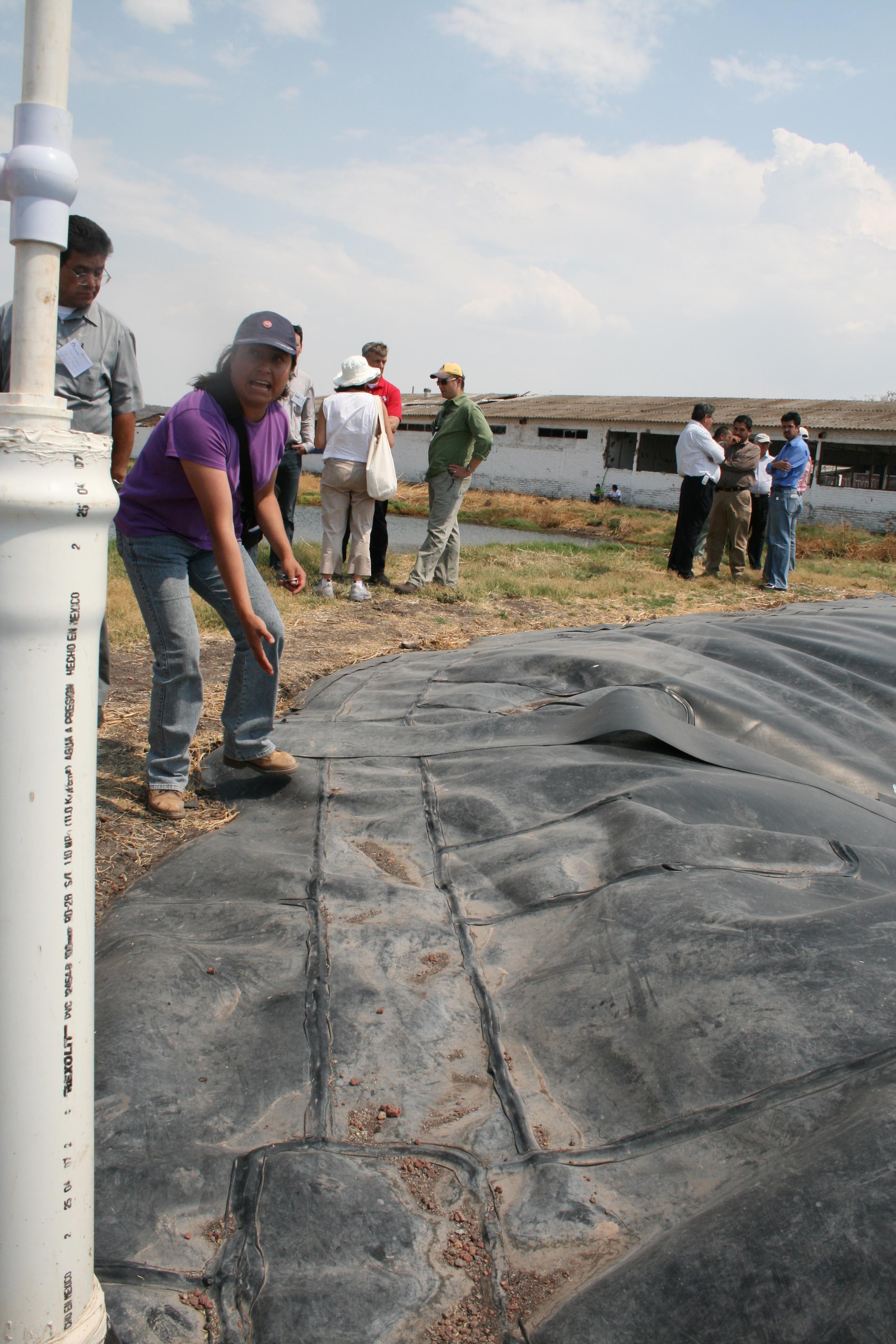 Site visit to an anaerobic digestor at a farm in Mexico, 2008 <br><span class='small text-muted'>(2008, Mexico)</span>