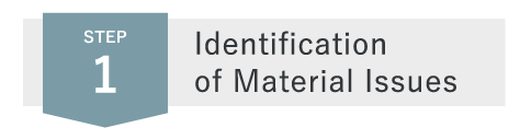 Identification of Material Issues