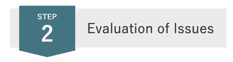 Evaluation of Issues