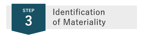 Identification of Materiality