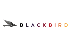 Blackbird