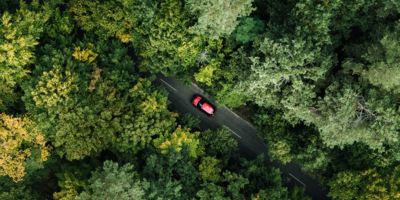 Car driving nature