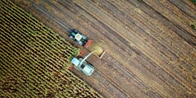 Industrial farming seen from above / CCO no one cares