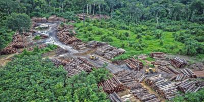 Deforestation illegal-logging-amazon-brazil