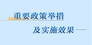 重要举措及实施效果