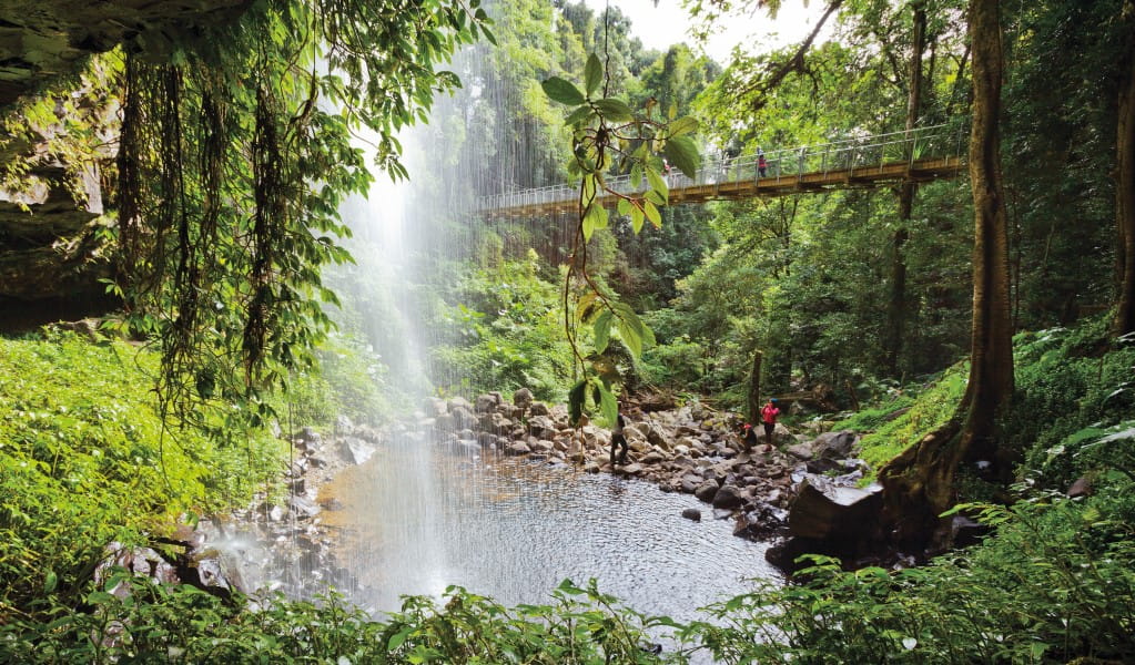 Dorrigo. A waterfall into a waterhole, surrounded by lush green bush.