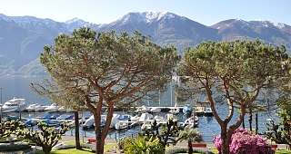 Lake promenade Locarno Muralto