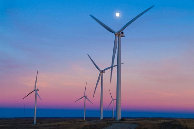 Rows of wind turbines