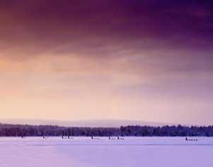 Schlittenhundetour in Schweden