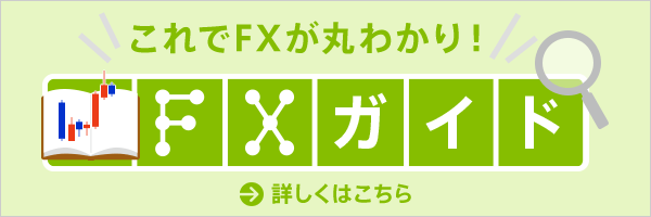 [これでFXが丸わかり！] FXガイド