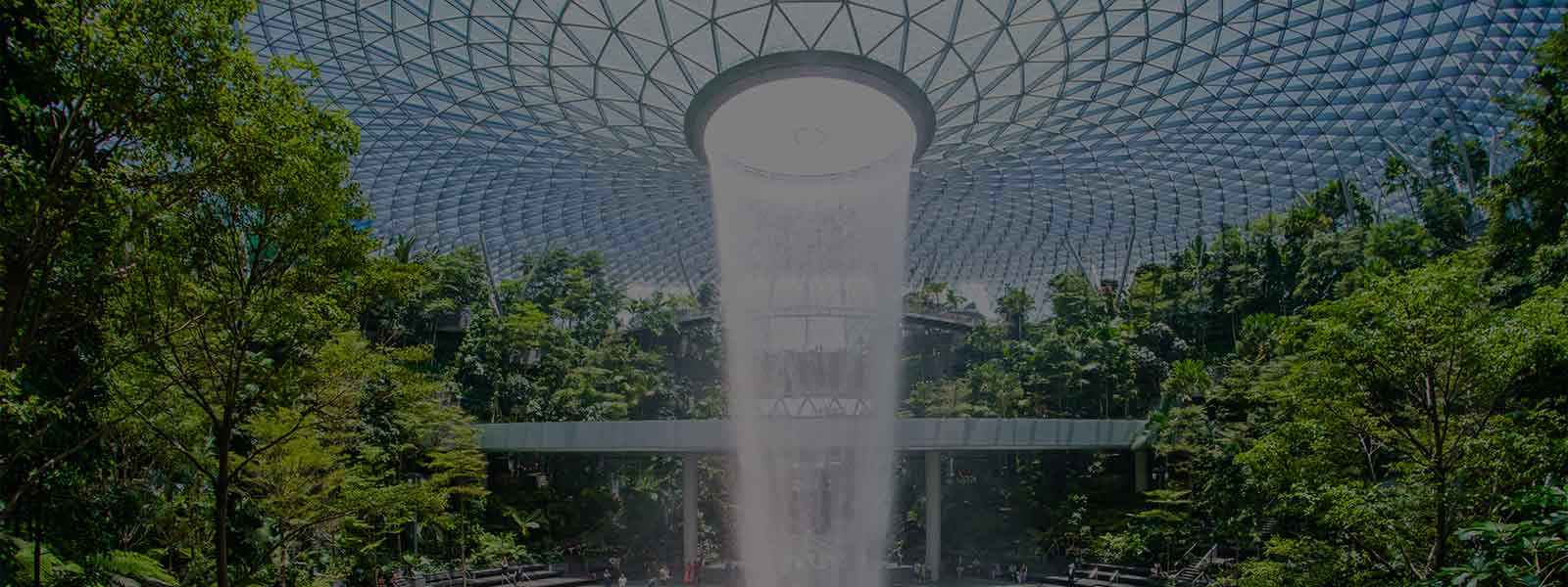 A charming water fountain at the heart of a tropical garden, surrounded by colourful blooms