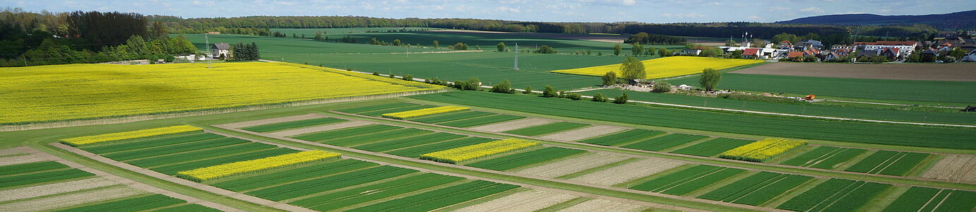 Eine Landschaft mit kleinen gelben (Raps) und grunen (junges getreide) streifenförmigen Parzelle nebeneinander. Vereinzelte Gebäude und Horizont sind im Hintergrund zu sehen.n