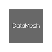 DATAMESH PTE. LTD. (Singapore)