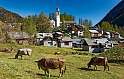 Bosco Gurin Vallemaggia Photo Swiss Image Christof Sonderegger