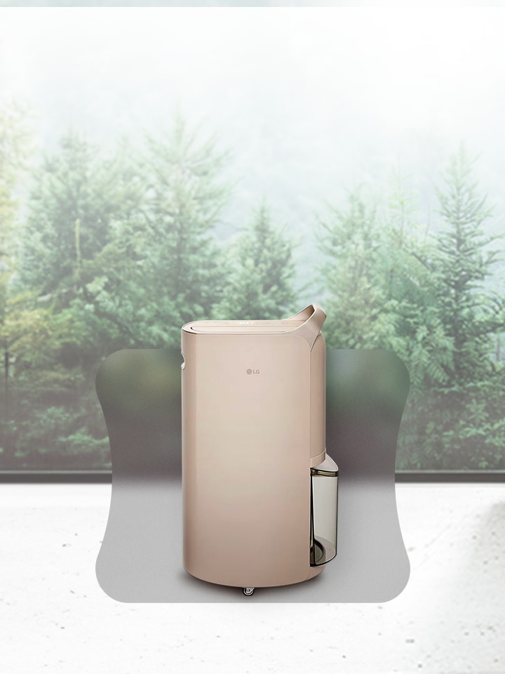 Dehumidifier Extra 10% Off