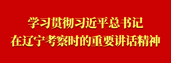 习贯彻习近平总书记在辽宁考察