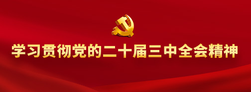 学习贯彻党的二十届三中全会精神