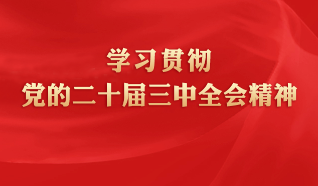 学习贯彻党的二十届三中全会精神