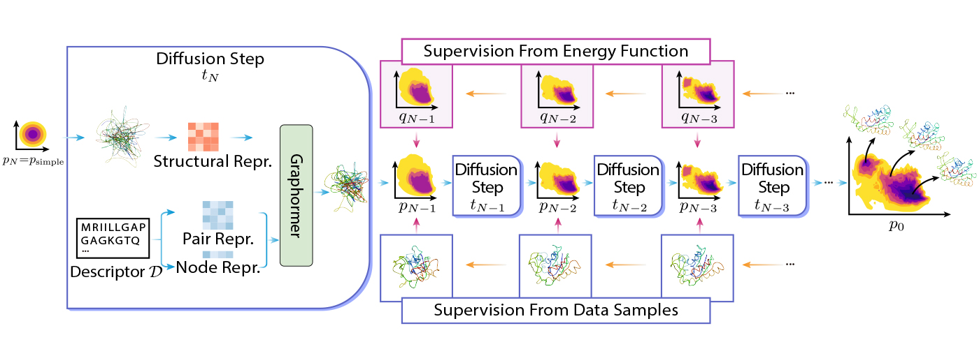 A schematic diagram illustrating the design and backbone architecture of DiG. The diagram shows a molecular system with two possible conformations as an example. The top row shows the energy function of the molecular system as a curve, with two local minima corresponding to the two conformations. The bottom row shows the probability distribution of the molecular system as a bar chart, with two peaks corresponding to the two conformations. The diagram also shows a diffusion process that transforms the probability distribution from a simple uniform one to the equilibrium one that matches the energy function. The diffusion process consists of several intermediate time steps, labeled as i=0,1,…,T. At each time step, a deep-learning model, Graphormer, is used to construct a forward diffusion step that converts the distribution at the previous time step to the next one, indicated by blue arrows. The Graphormer model is learned to match the distribution at each time step to a predefined backward diffusion step that converts the equilibrium distribution to the simple one, indicated by orange arrows. The backward diffusion step is computed by adding Gaussian noise to the equilibrium distribution and normalizing it. The learning of the Graphormer model is supervised by both the samples and the energy function of the molecular system. The samples are obtained from a large-scale molecular simulation dataset that provides the initial samples and the corresponding energy labels. The energy function is used to calculate the energy scores for the generated samples and guide the diffusion process towards the equilibrium distribution. The diagram also shows a physics-informed diffusion pre-training (PIDP) method that is developed to pre-train DiG with only energy functions as inputs, without the data dependency. The PIDP method uses a contrastive loss function to minimize the distance between the energy scores and the probabilities of the generated samples at each time step. The PIDP method can enhance the generalization of DiG to molecular systems that are not in the dataset.