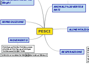 Sample Mind Map