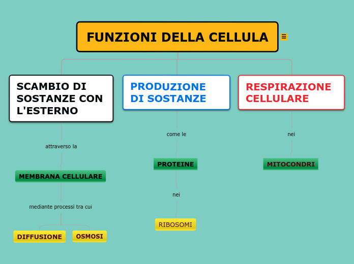 FUNZIONI DELLA CELLULA