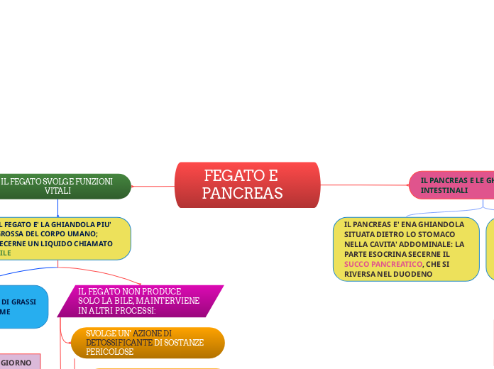 FEGATO E PANCREAS