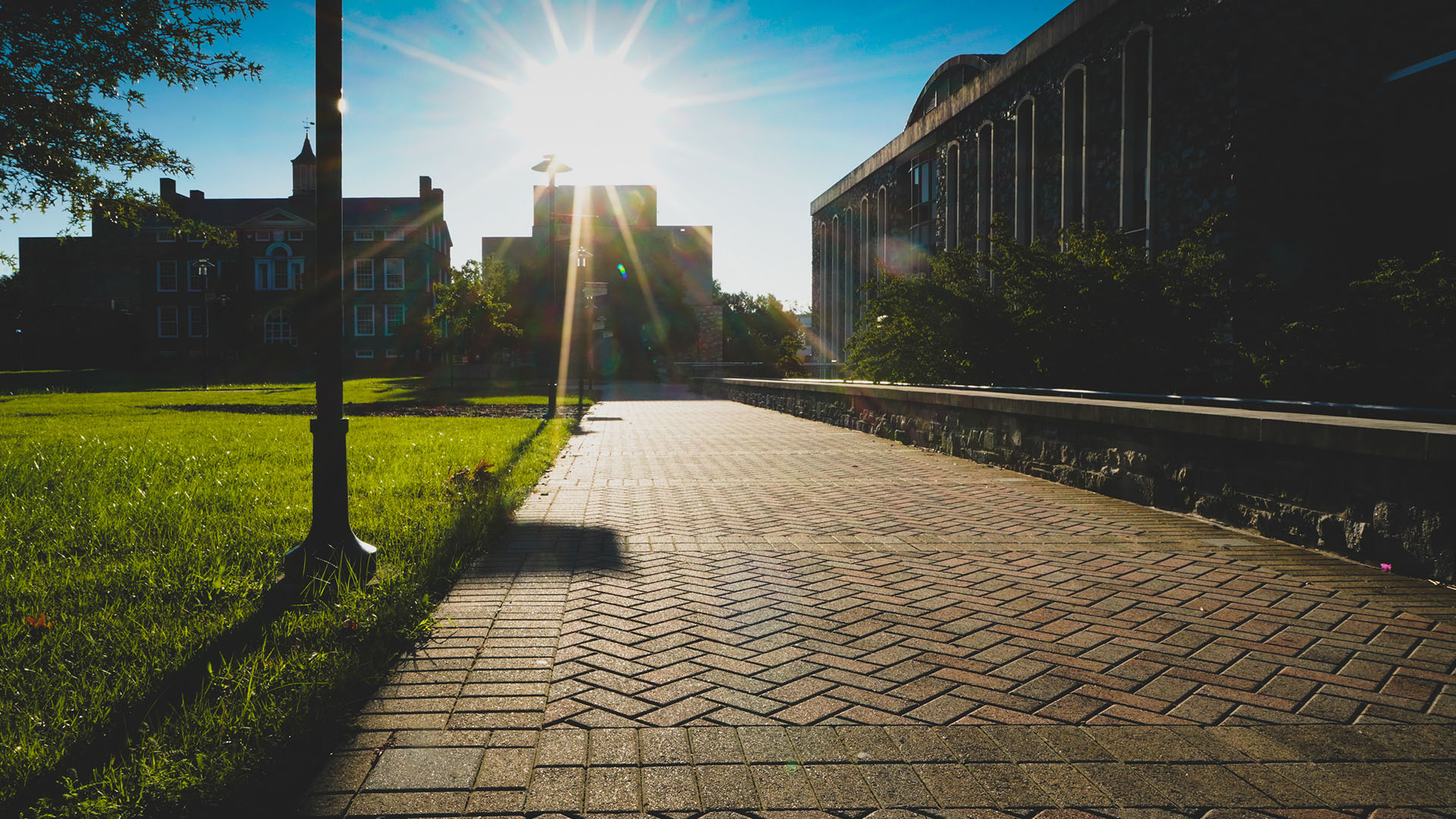 sidewalk during sunrise