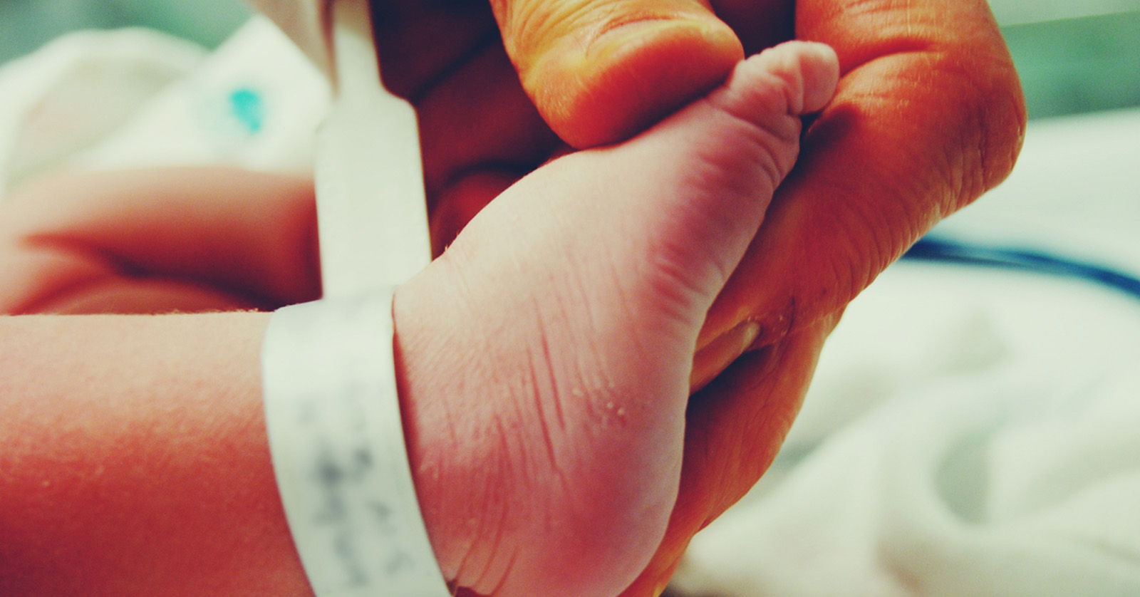 Hand holding infant foot. Hospital paper band is visible on infant’s ankle.