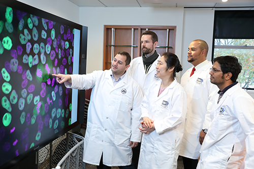 NIDCR staff working in the lab