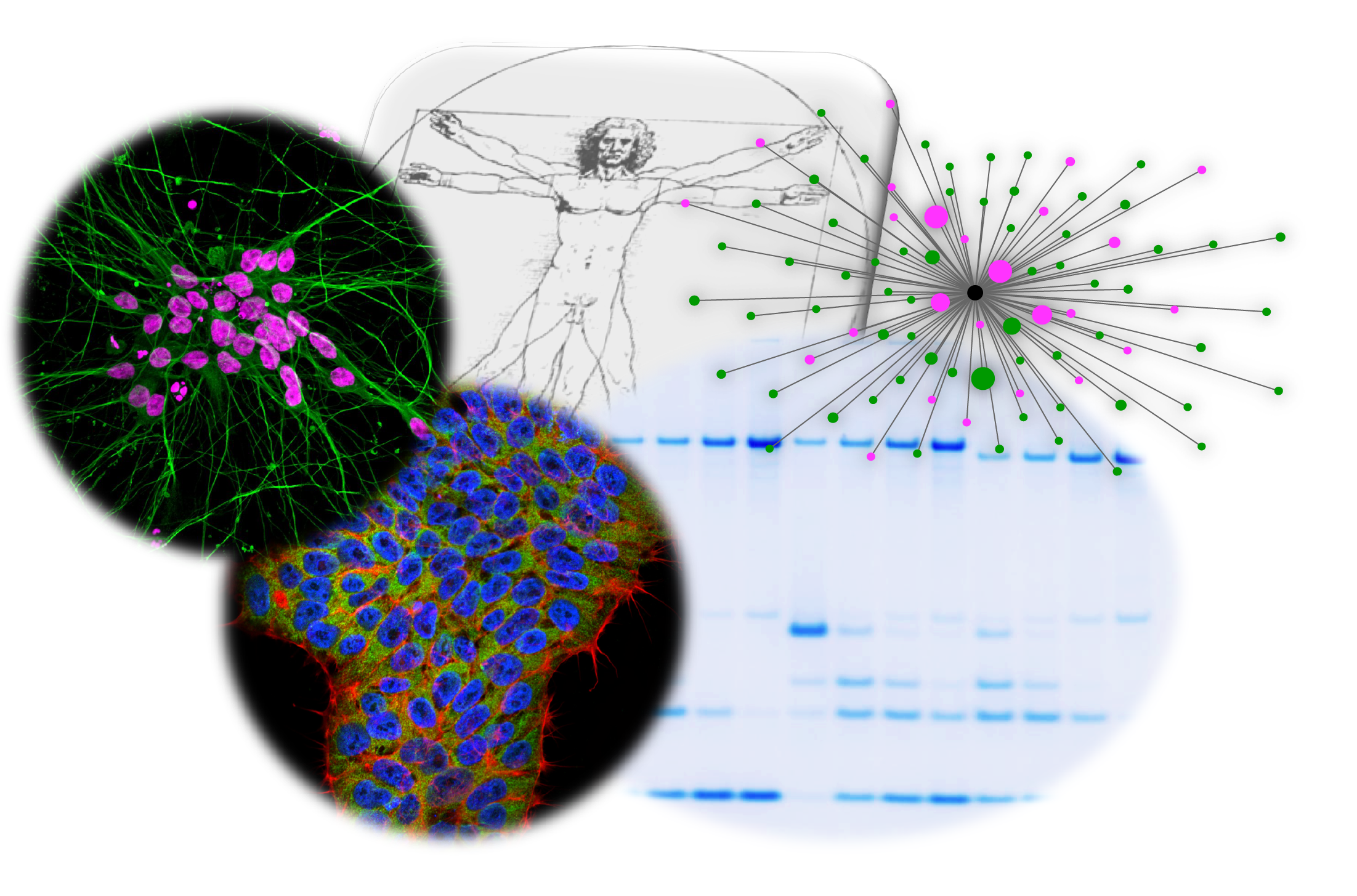 Overview of research