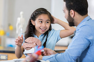 Student using a brain model to learn about the parts of the brain