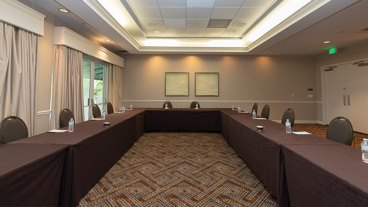 Hibiscus Boardroom