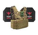 Image of Shellback Tactical Skirmish Level III Steel Plates Armor Kit